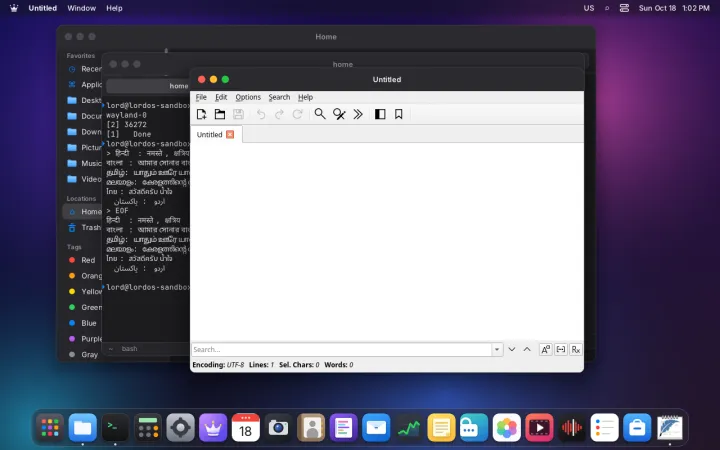 App opened from the launcher