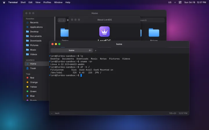 Dock hidden automatically