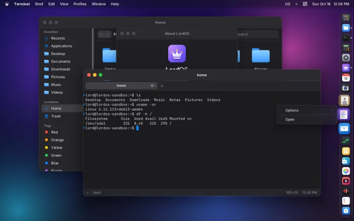 Dock app menu