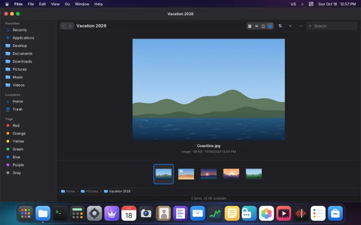 Files in gallery view