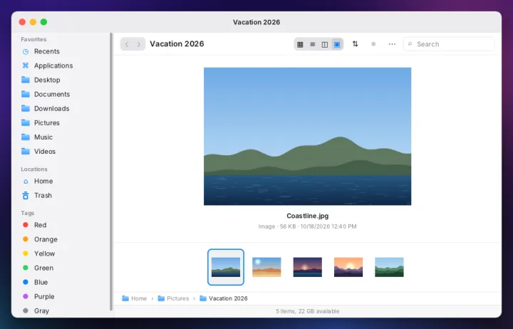 Files in gallery view