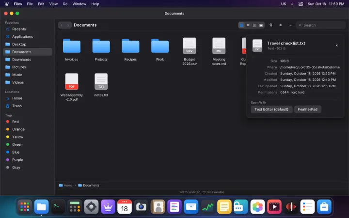 File information window