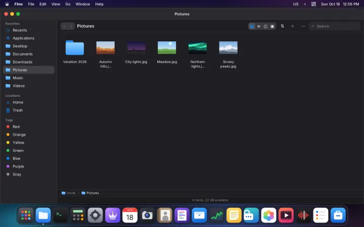 Files in icon view