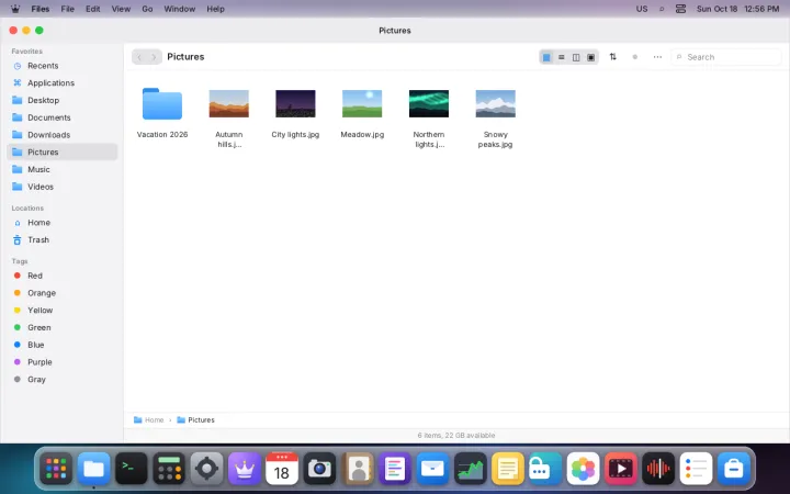 Files in icon view