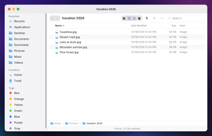 Files in list view