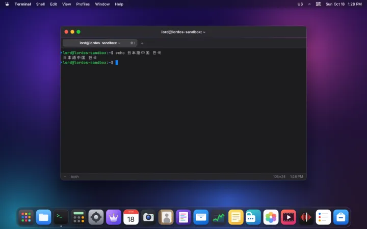 Input method in the terminal