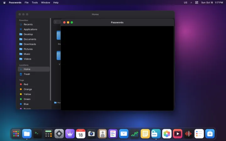 Passwords window protected from capture