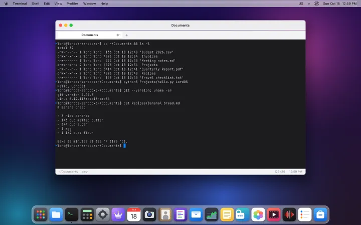 Terminal with everyday commands