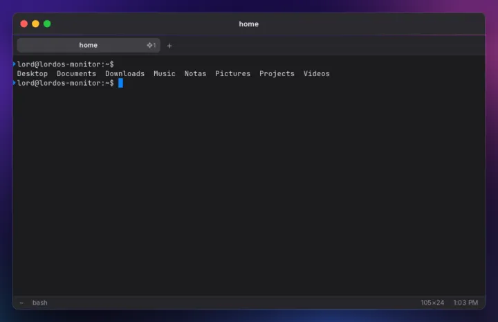 Terminal app