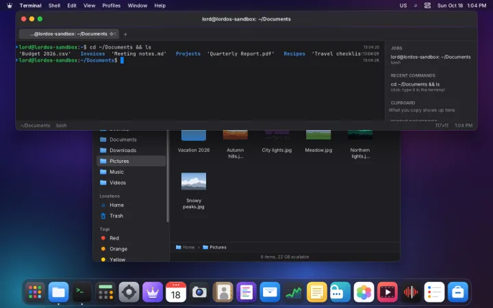 Drop-down terminal