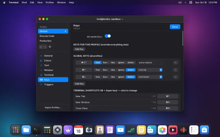 Terminal key bindings