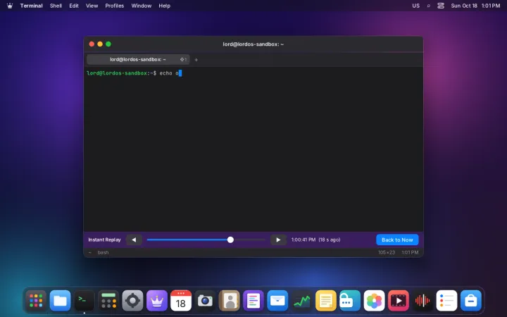 Replaying a terminal session