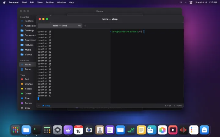 Terminal session restored