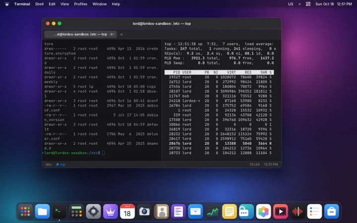 Split terminal panes