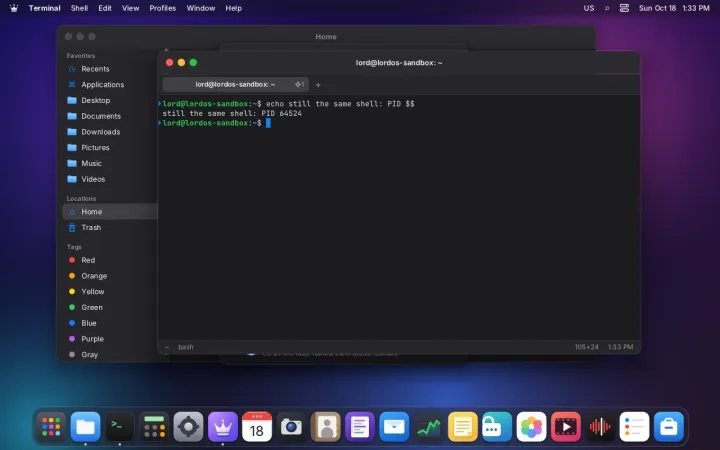 Terminal following theme change