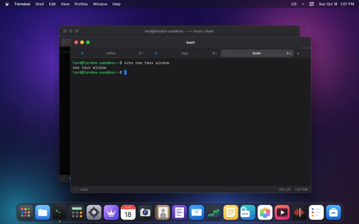 tmux windows in the terminal