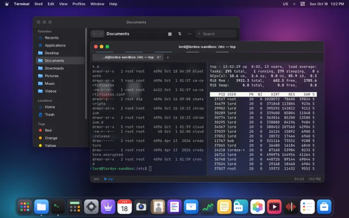 Transparent terminal