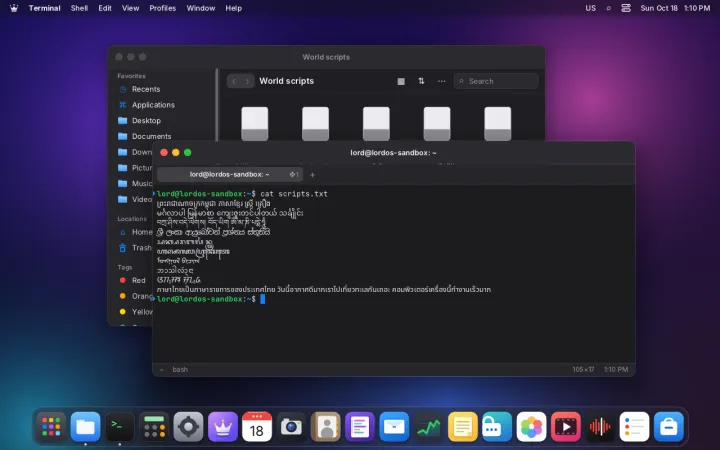 Many scripts in the terminal